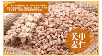 陜北糧倉的寶藏 五谷雜糧里的記憶與味蕾盛宴